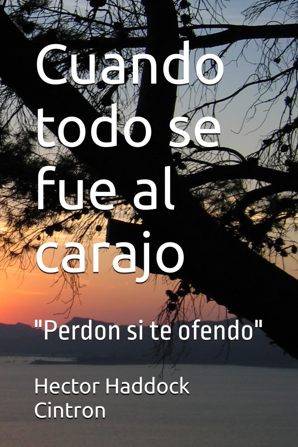 Cuando todo se fue al carajo: "Perdon si te ofendo"