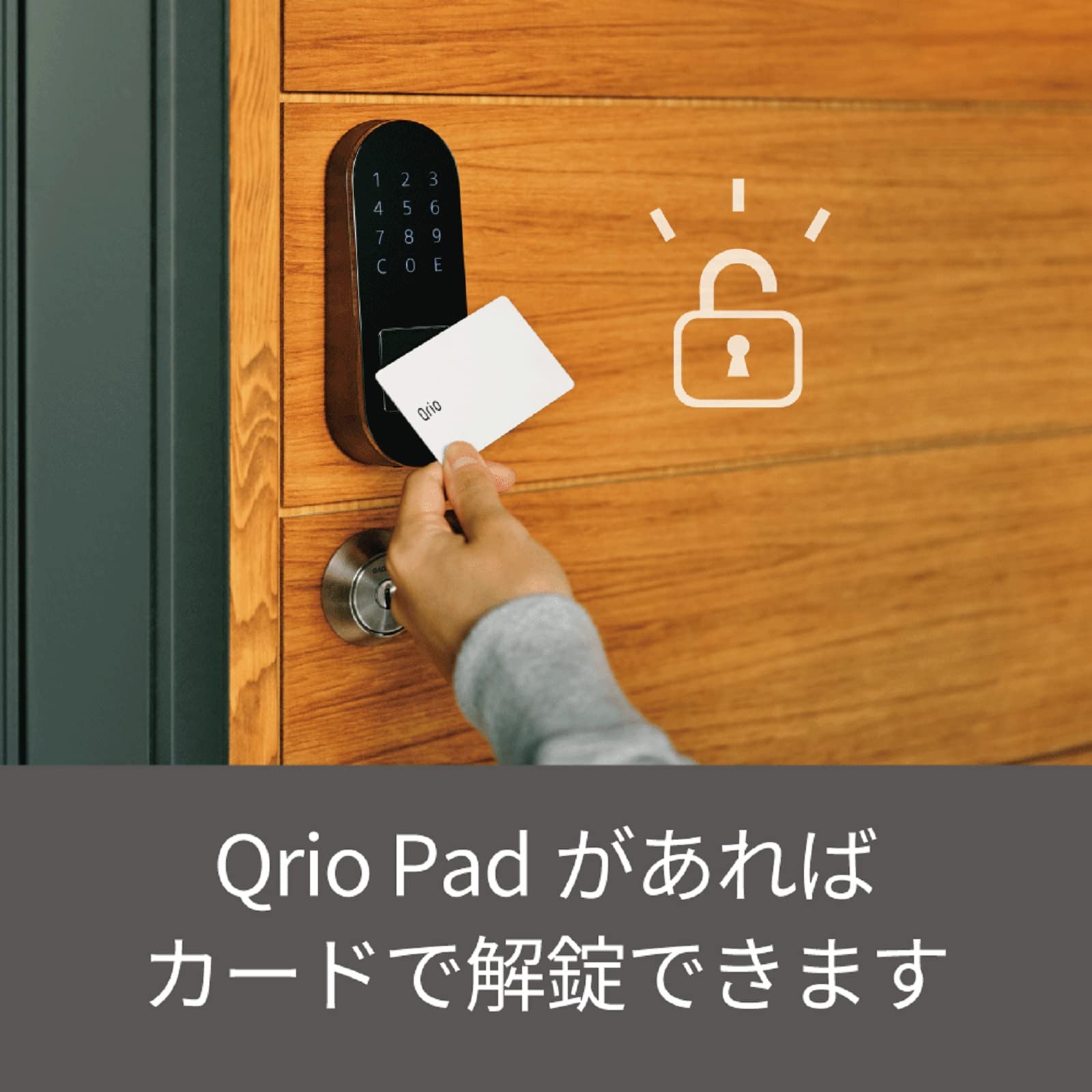 Amazon.co.jp: 【Amazon限定メーカー保証1.5年モデル】 Qrio Pad 