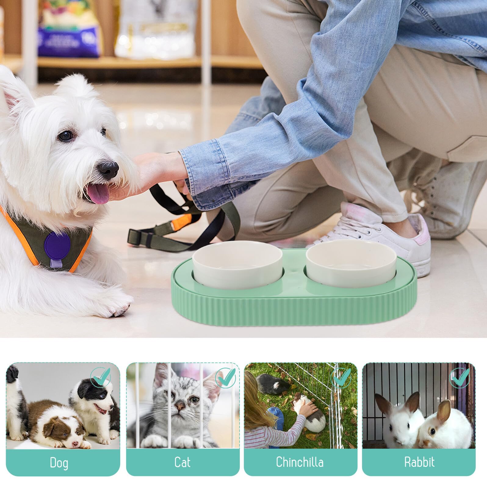 SHINEOFI Gamelle Chauffante pour Chat en Céramique Verte Double Bol Amovible USB 5V Maintien Température Précise pour Nourriture et Eau Hiver Nettoyage Facile Usage Intérieur