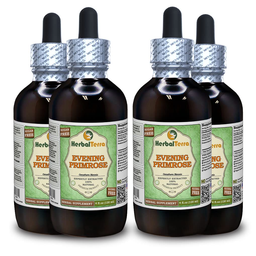 Evening Primrose (Oenothera Biennis) Glycerite, Dried Seeds Alcohol-Free Liquid Extract (Brand Name: HerbalTerra) 4x4 fl.oz (4x120 ml)