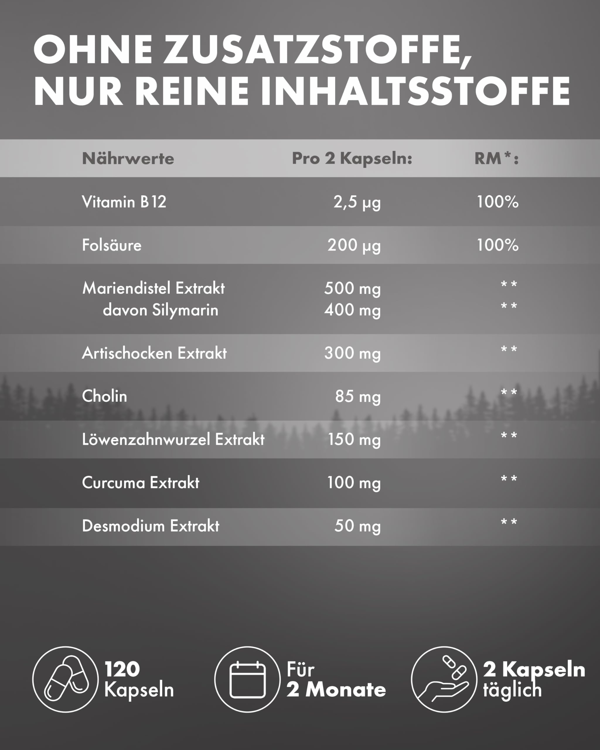 NATURE ELEGANCE Leber Komplex – Hochdosierte Mariendistel Kapseln mit Artischocke, Löwenzahn, Curcuma, Desmodium & Cholin – Vegan & laborgeprüft - produziert in Deutschland