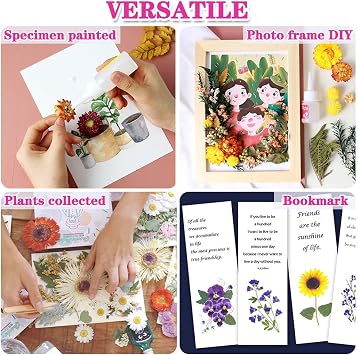 Vignee Real Dried Pressed Leaf Flowers-Multiple Colorful Pressed Flowers Daisies for Craft Resin Jewelry Making Art Craft DIY(Blue)