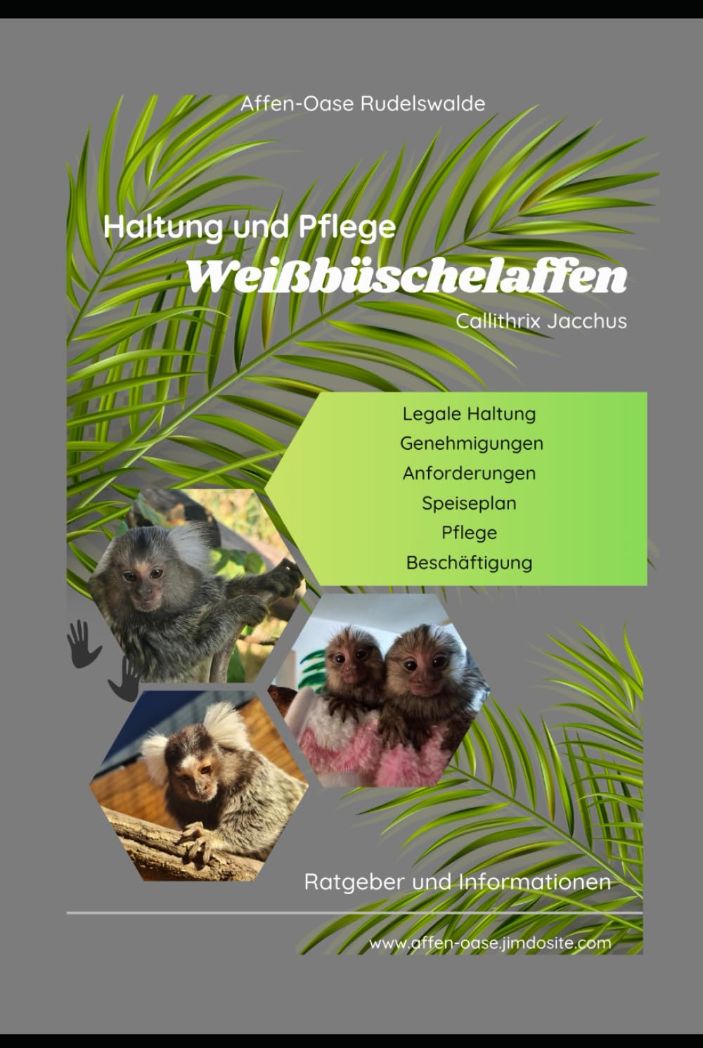 Haltung und Pflege von Weißbüschelaffen (Callithrix Jacchus): Legale Haltung,Genehmigungen,Anforderunge,Speiseplan,Pflege,Beschäftigung