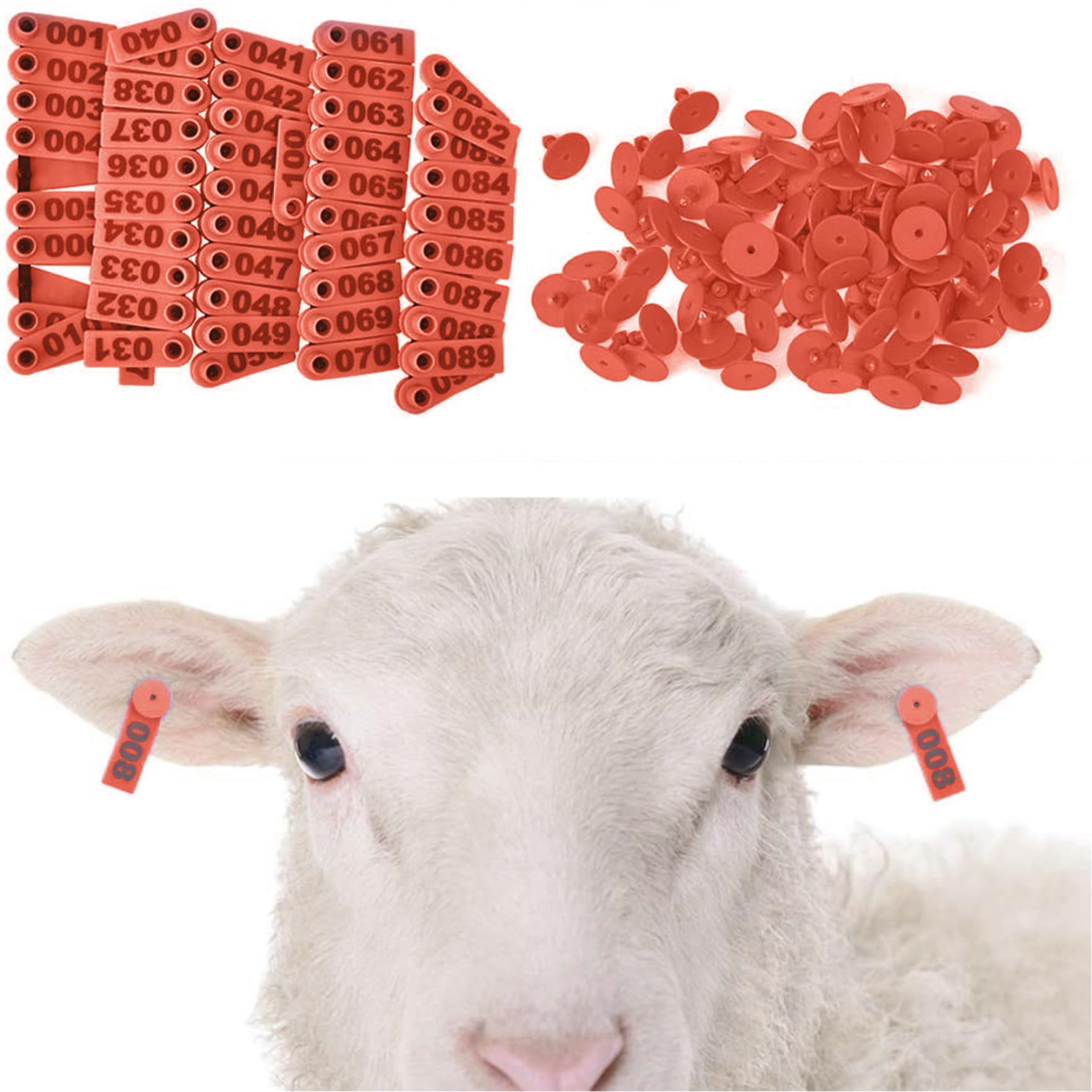 100 pcs Tag d'oreille de mouton 1 à 100 numéros