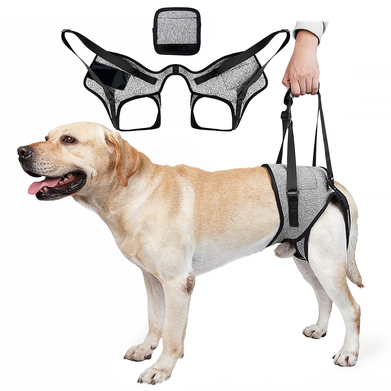 Dog Lifting Harness for Back Legs Dog Support Harness Slings for Large Medium Small Adjustable Dogs Brace for Hind Leg Support Strap for Injured Disabled Elderly Dogs Walking Aid (M)