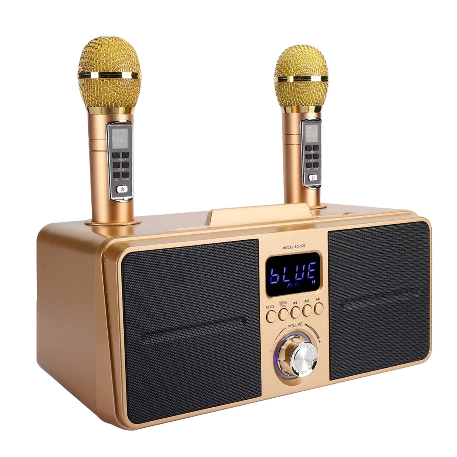 SUNGOOYUE Altoparlante Karaoke Altoparlante Portatile Bluetooth 4.2 Integrato con Microfono Lettore in Metallo ABS 2x15 W Batteria da 3 Ore per Esercitazioni di Canto in Famiglia per Feste in Casa