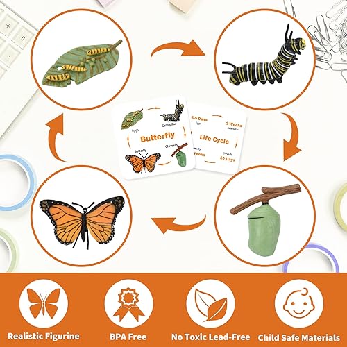 Miniatura 3 de Montessori - Figuras de ciclo de vida de animales, juguetes educativos en miniatura de plástico, 6 unidades, a partir de 3 años