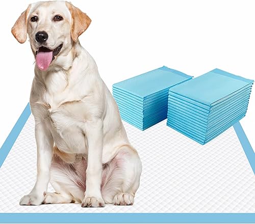 Miniatura 8 de Almohadillas para orina para perros XL de 28 x 34 pulgadas, paquete de 40 y 30 x 36 pulgadas, paquete de 40 unidades