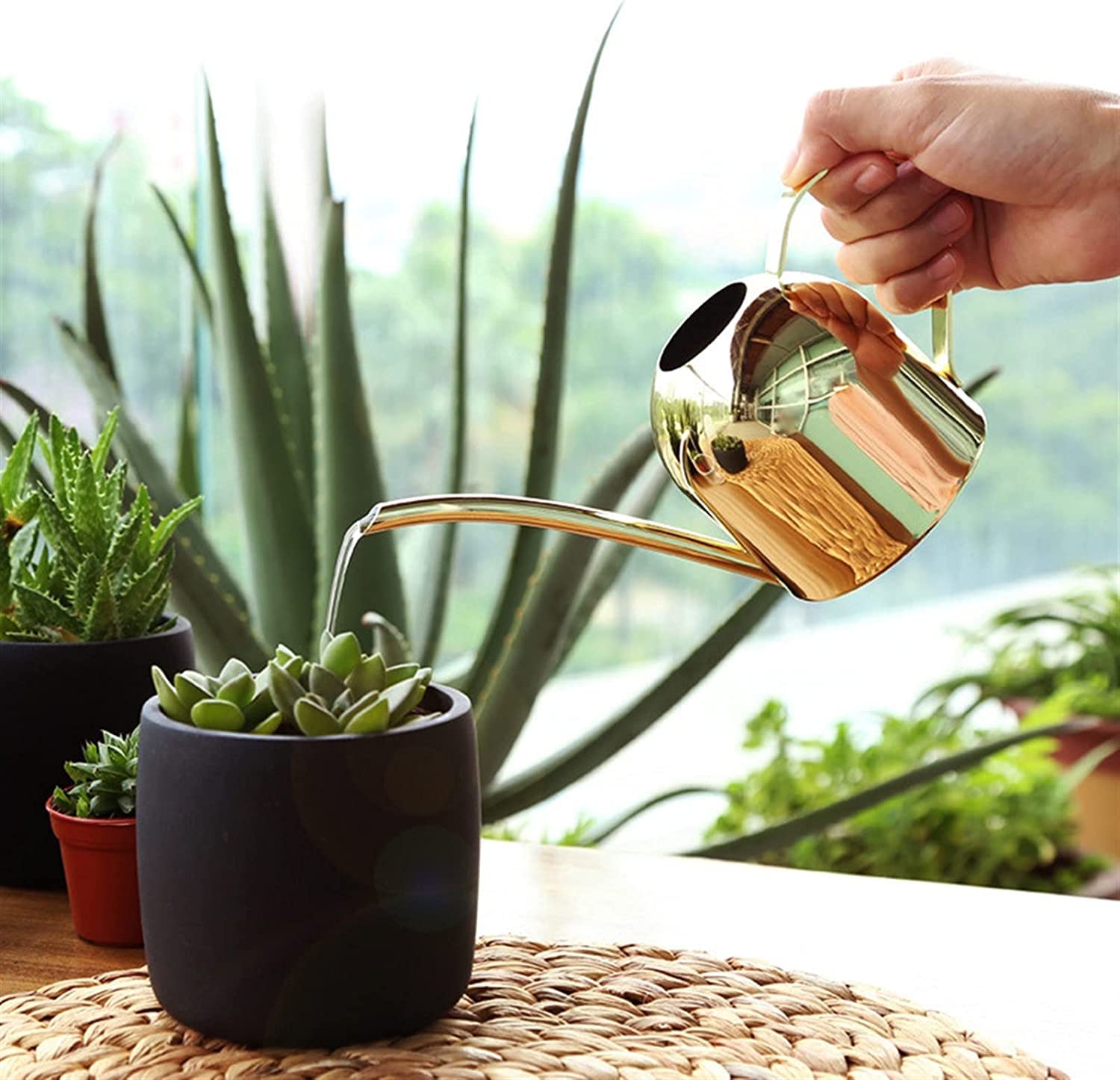 Rozpylacz Konewka Konewki Konewka Do Kryty Garnek Ze Stali Plama Długa Wylewka Garnek Urządzenie Do Podlewania Butelek Mięsisty Bonsai Narzędzie Ogrodowe Złoty Garnek Do Podlewania Opryskiwacz
