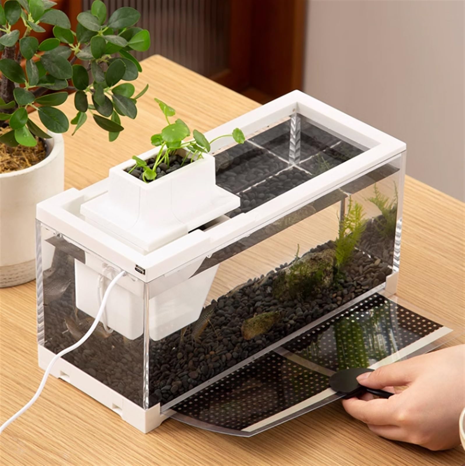 Aquarium Aquarium-Tank, transparent, rechteckig, aus Acryl, sturzsicher for den Heimgebrauch, mit Pumpe und integriertem Licht, ökologisches Aquarium Fischtank