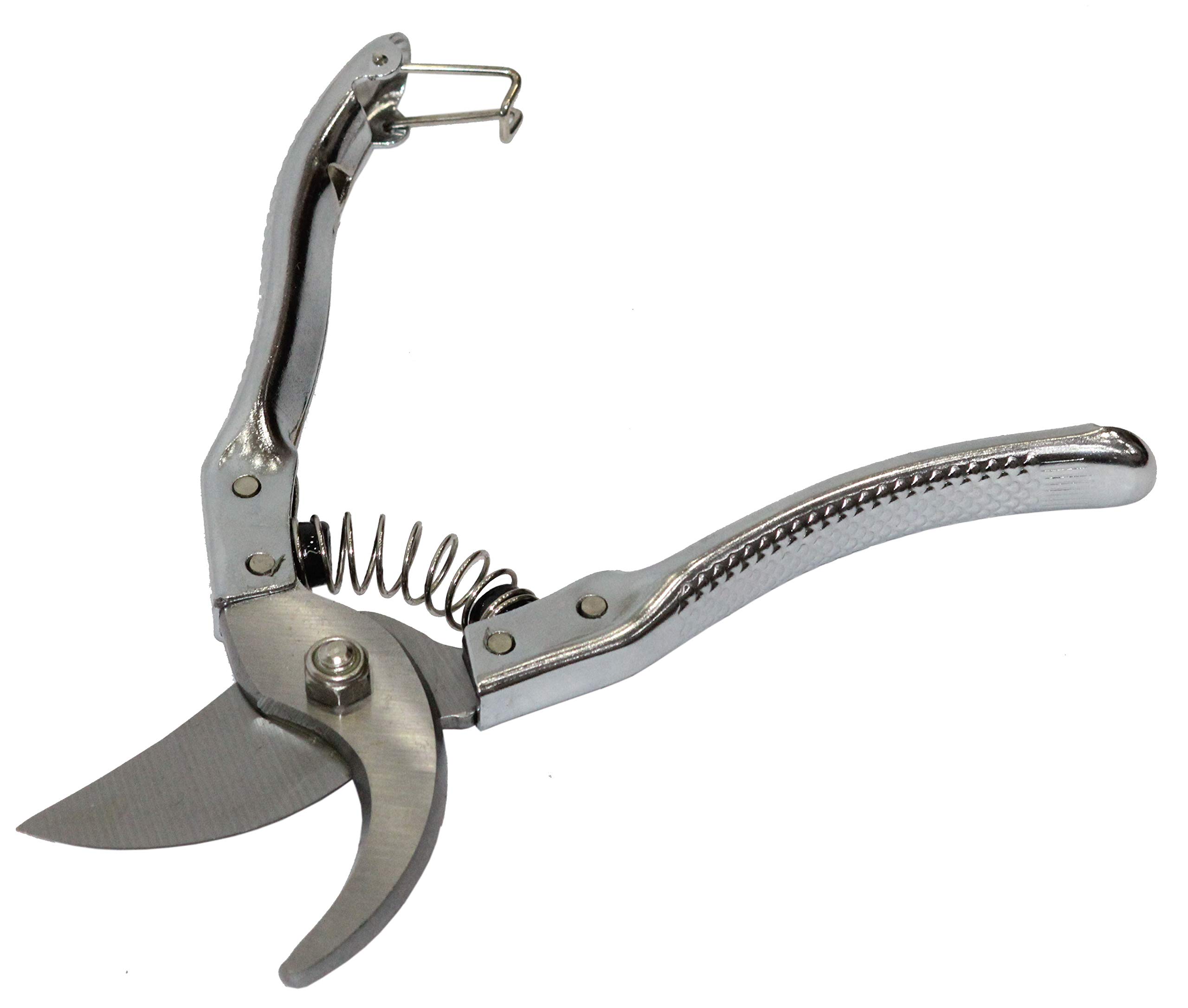 Digital Craft Stainless Steel Garden Shears Pruning Scissors – Bonsai Cutting Tool, Flower Cutter, Plant Trimmer, Secateurs for Branch & Stem, Plant Pruner for Home Gardening - Image 3 thumbnail