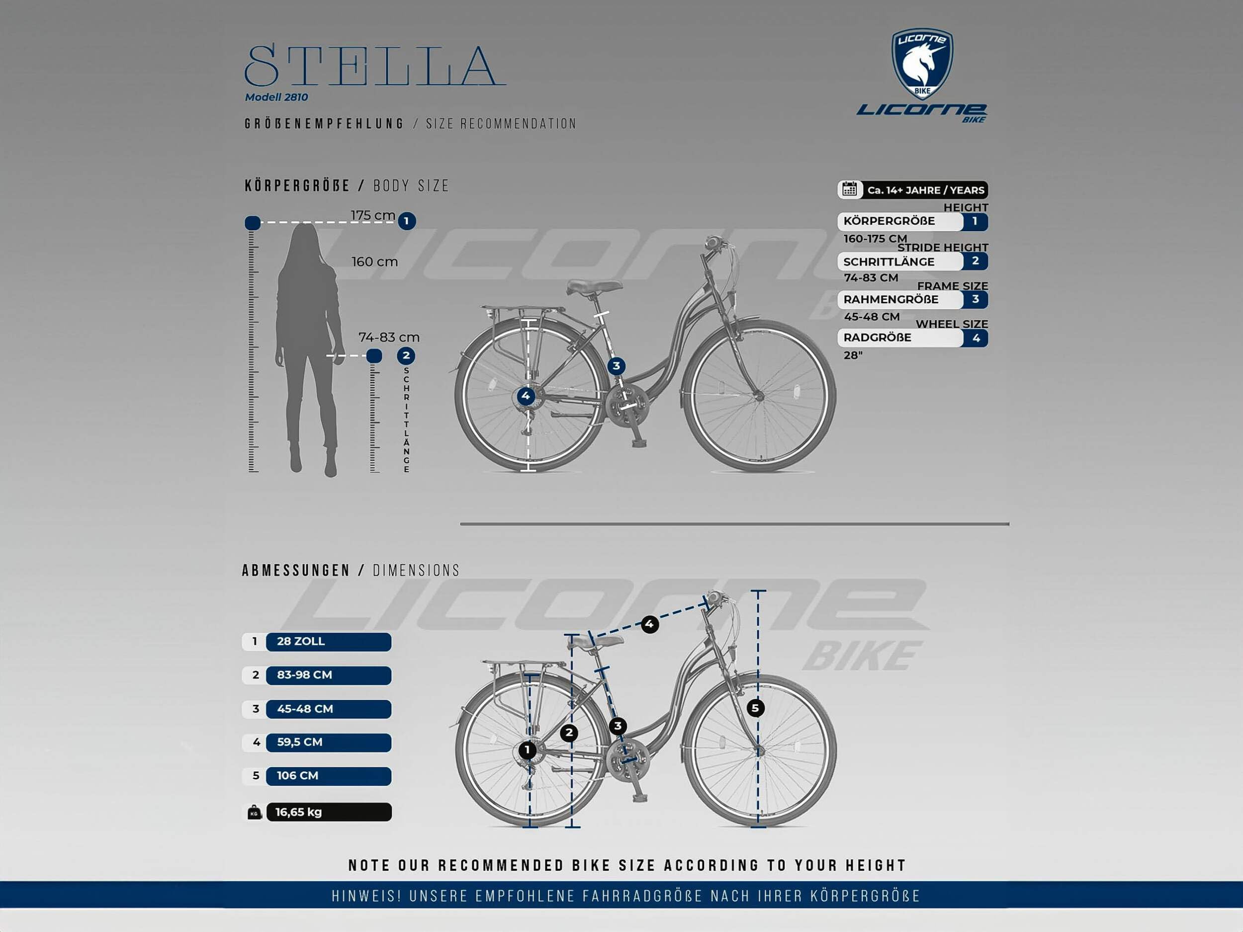 Licorne Bike Stella Premium City Bike 24,26 et 28 pouces – Vélo pour filles, garçons, hommes et femmes – Dérailleur Shimano 21 vitesses – Vélo hollandais, Femme, Noir , 28