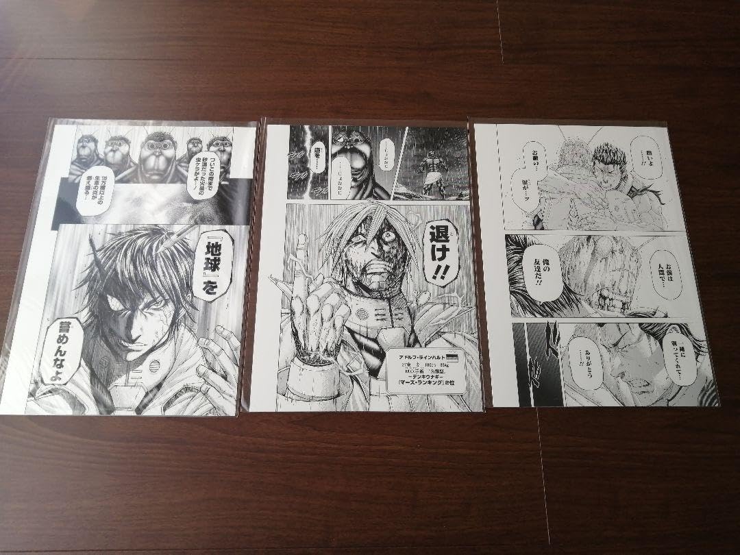 Amazon.co.jp: 【懸賞品テラフォーマーズ 複製原画3枚セット : おもちゃ