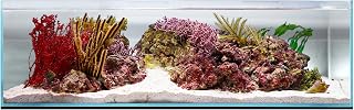 Ultum Nature Systems Ultra Clear Rimless Aquarium - Low Iron Glass Aquarium with 45° Tile Edges, 5mm-15mm Thick, Leveling Mat Included - 60S, Glass