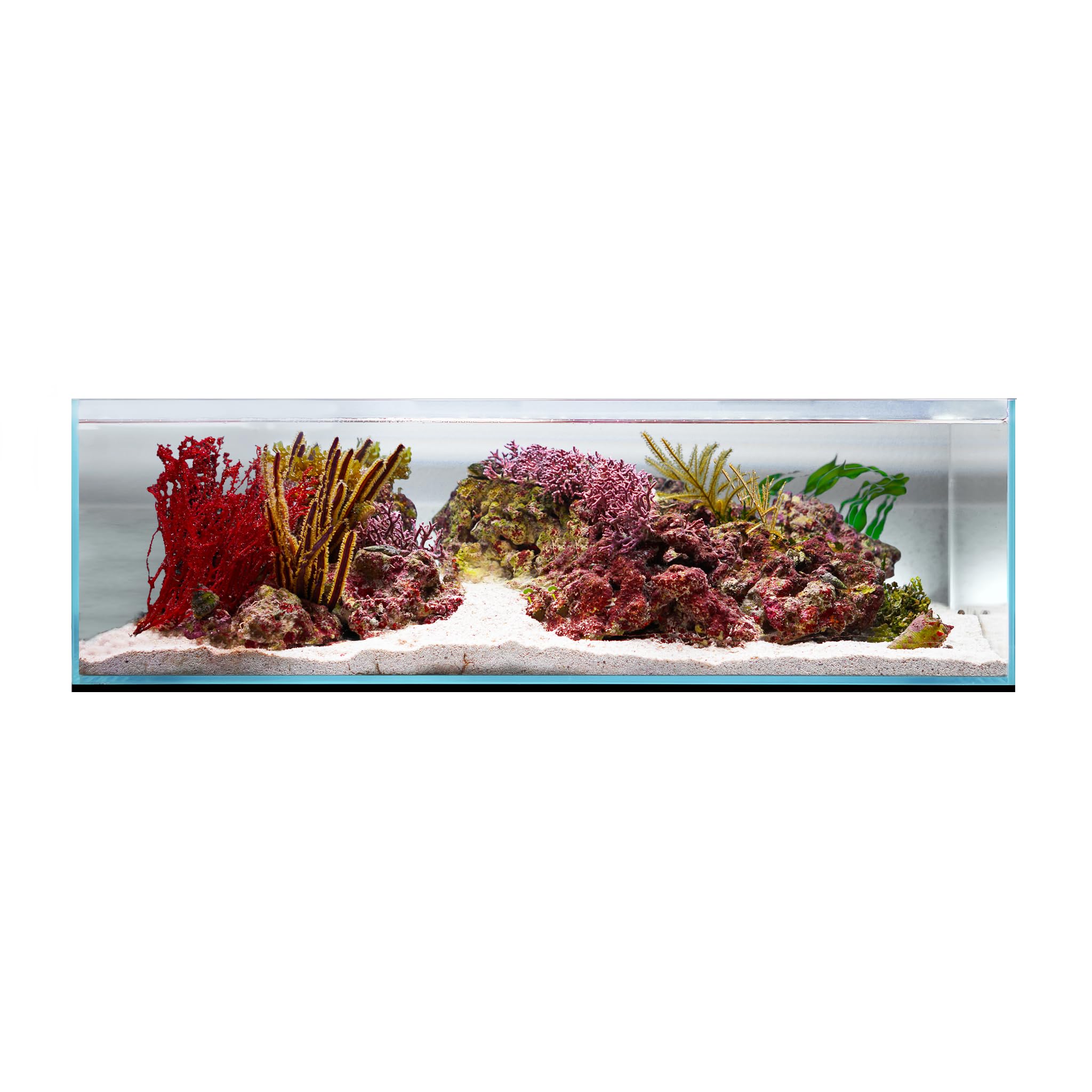 UNS Ultra Clear Rimless Tank - 10.2GAL | 38.8L - 23.62x14.17x7.08 | 60x36x18 CM, 5mm Glass Thickness, Leveling Mat Included - Low Iron, High Clarity