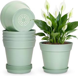 KINGLAKE 15cm Blumentöpfe mit Untersetzer - 6 Stück Pflanztöpfe Klein, übertopf Pflanztopf, Blumentopf Kunststoff Set, Topf Kleine Flower Pot für Pflanzen Kakteen Kräuter-Grün
