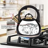 Vista 4 de Tetera para estufa, hervidor de agua de acero inoxidable de grado alimenticio, tetera para el hogar y la cocina, 3.1 cuartos de galón