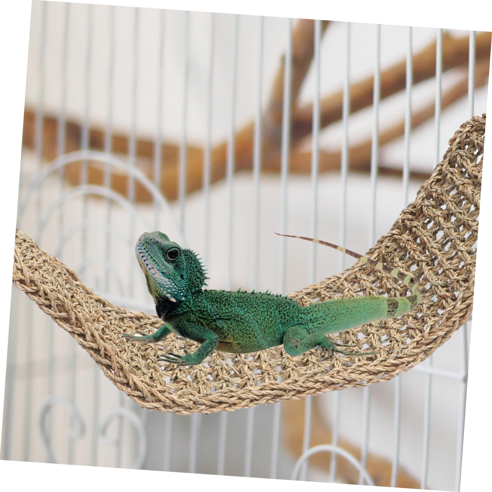 Kisangel Percha Colgante para Pájaros Juguete Trepador para Loros y Periquitos Soporte De Hamaca para Pájaros para Jaulas De Aves y Juguetes Colgantes Decorativos