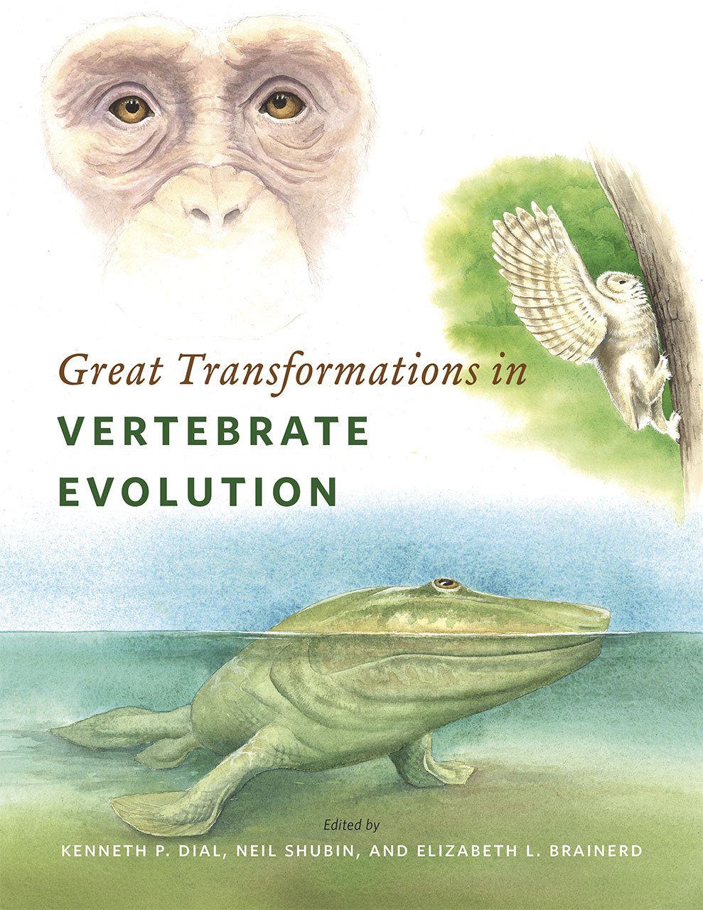 Great Transformations in Vertebrate Evolution by Kenneth P. Dial PAPERBACK