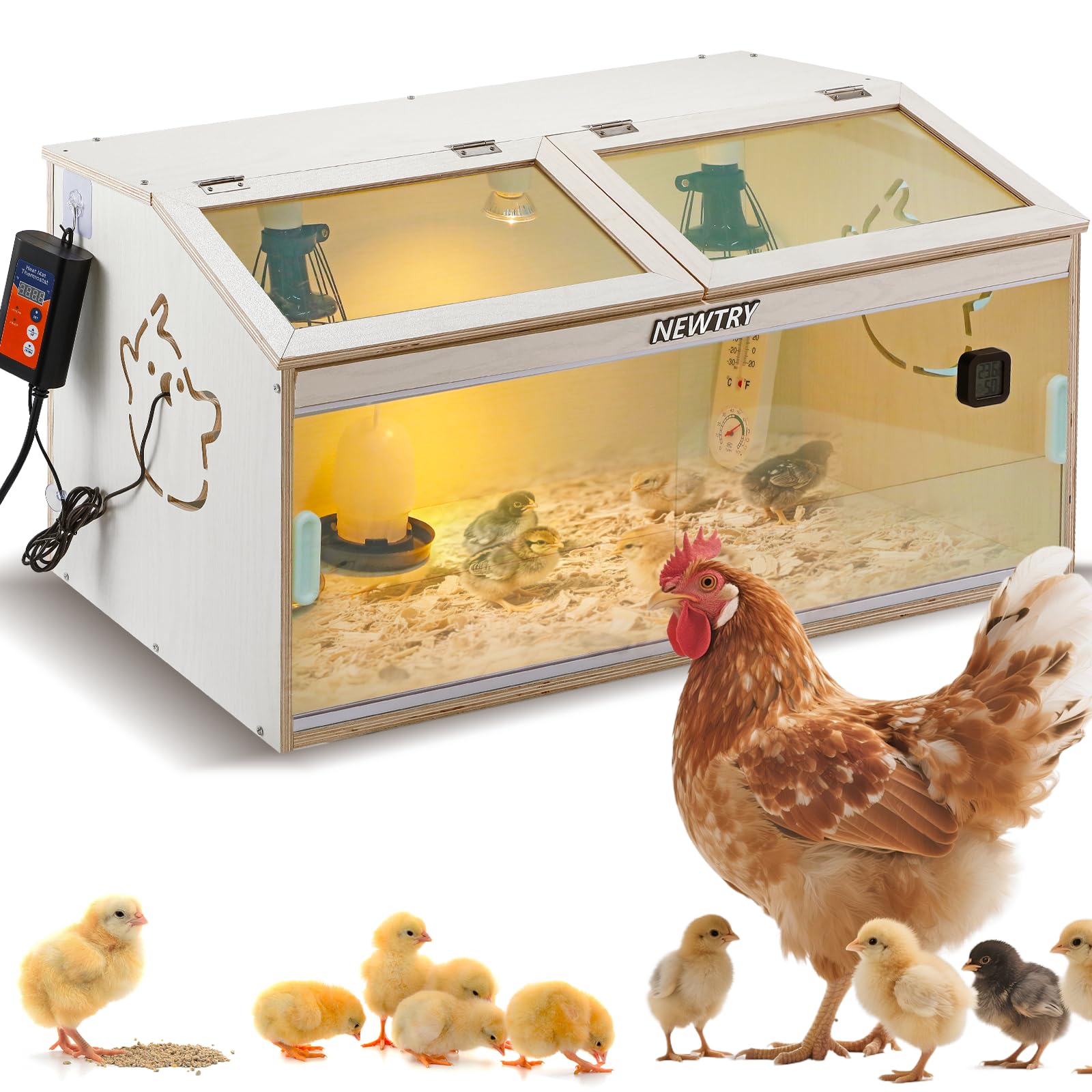 NEWTRY Scatola per polli con porta scorrevole capacità per 35 polli uccelli quaglie, Cassa per allevamento pollo con 3 lampade di riscaldamento, 1 regolatore di temperatura, 2 tipi di termometro