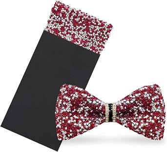 Sparkle Mens Bow Tie Set, Pre-tied Rhinestone Bow Tie and Prefolded Pocket Square Prom Wedding Party