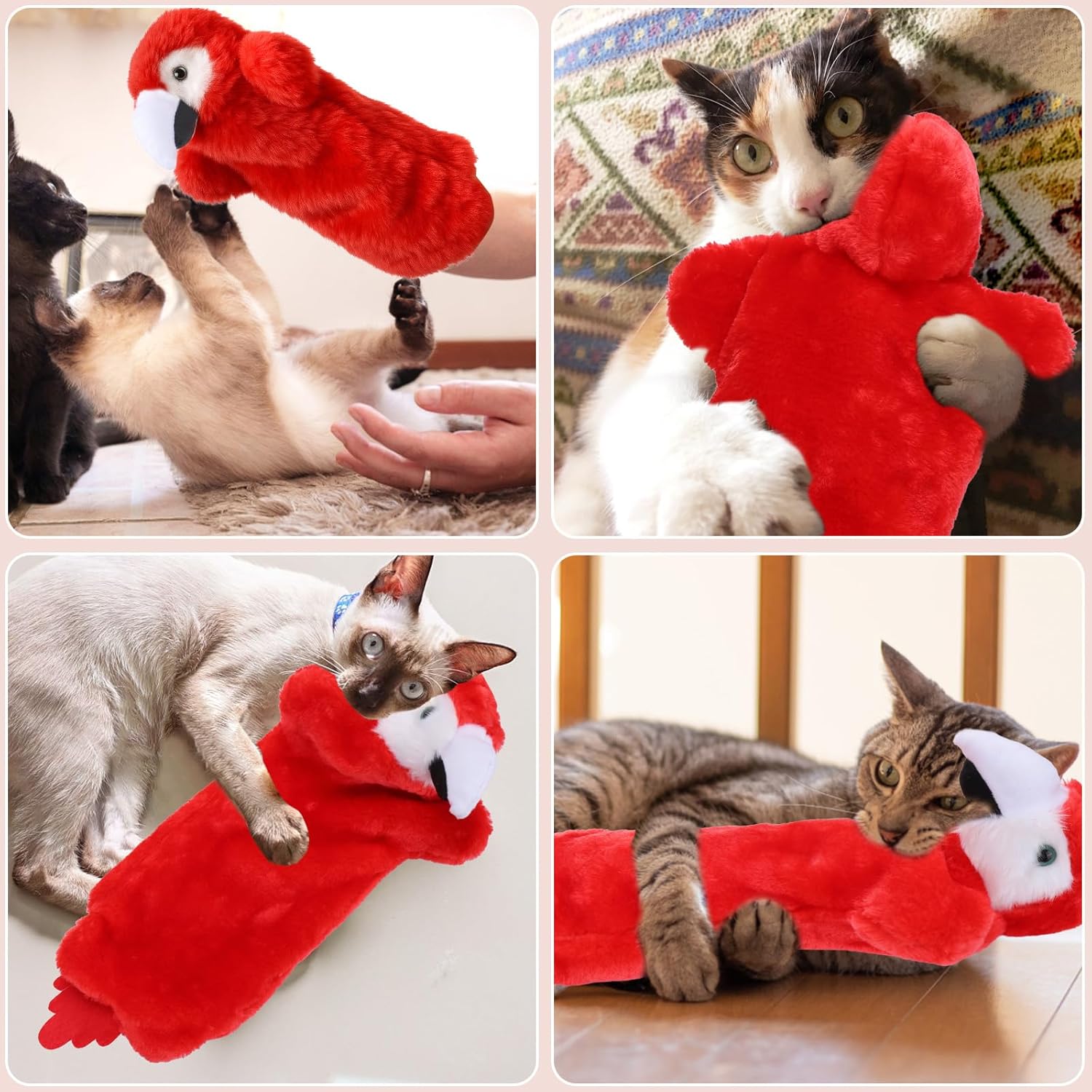 BABORUI Cat Wrestling Toy Puppet, Parrot Puppets Enrichment Toys for Bored Indoor Cats, Safe Wrestling Glove Hand Interactive Cat Toys (Long-Parrot)