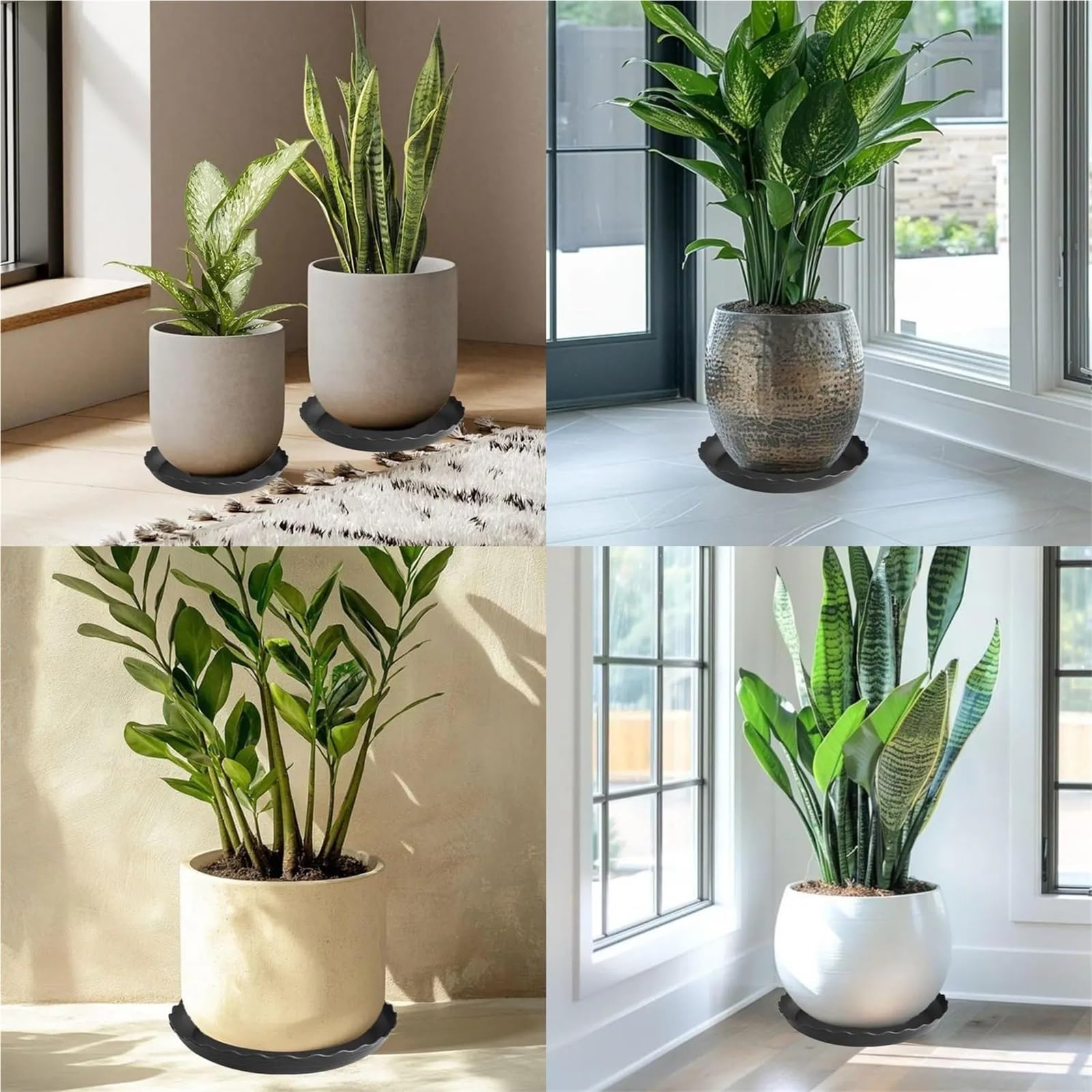 6pcs Thickened Plastic Planter Tray per Piante