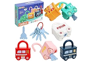 Montessori Learning Toys Sorting & Matching Locks and Keys