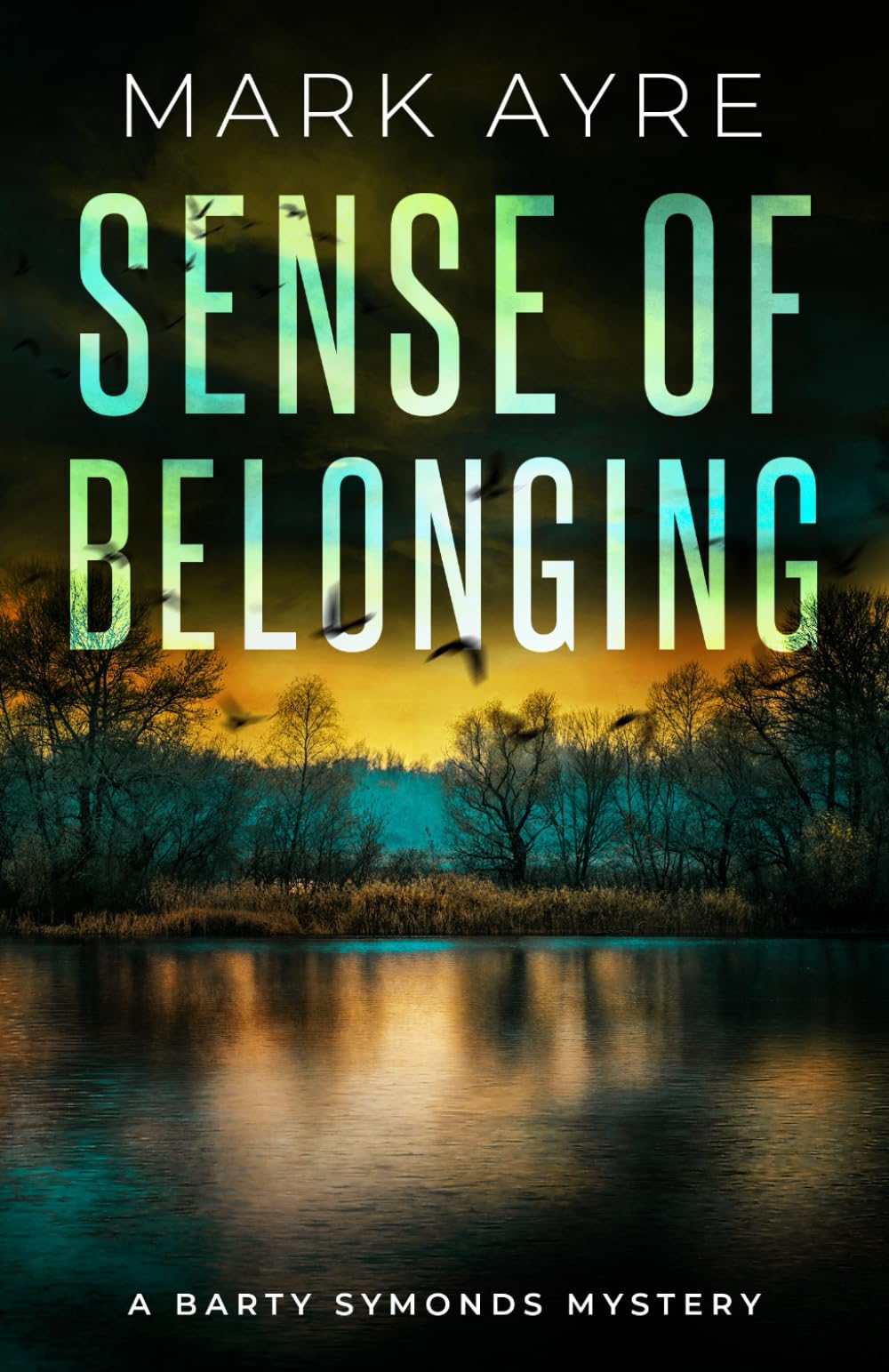 Sense of Belonging: A New Forest Crime Thriller (Barty Symonds Mysteries)