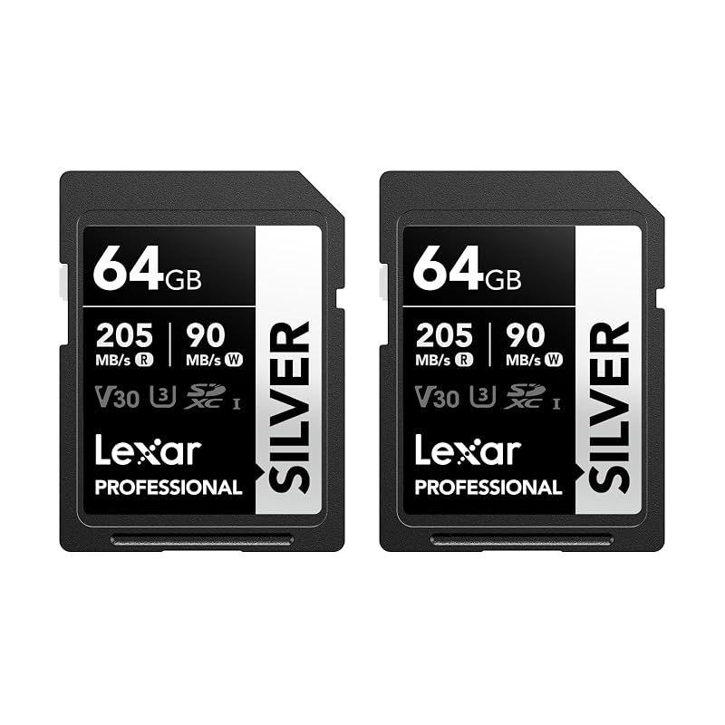 Lexar Silver 64GB UHS-I V30 — due schede per raffica e 4K