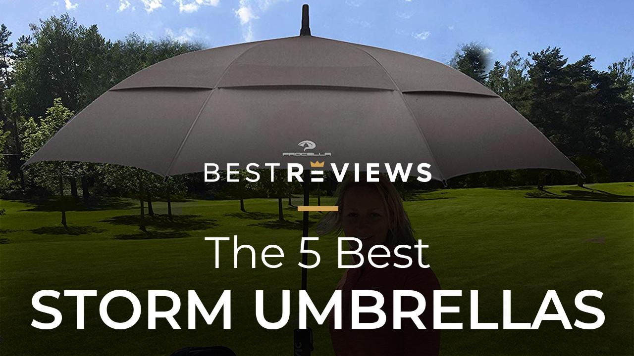 best storm umbrella