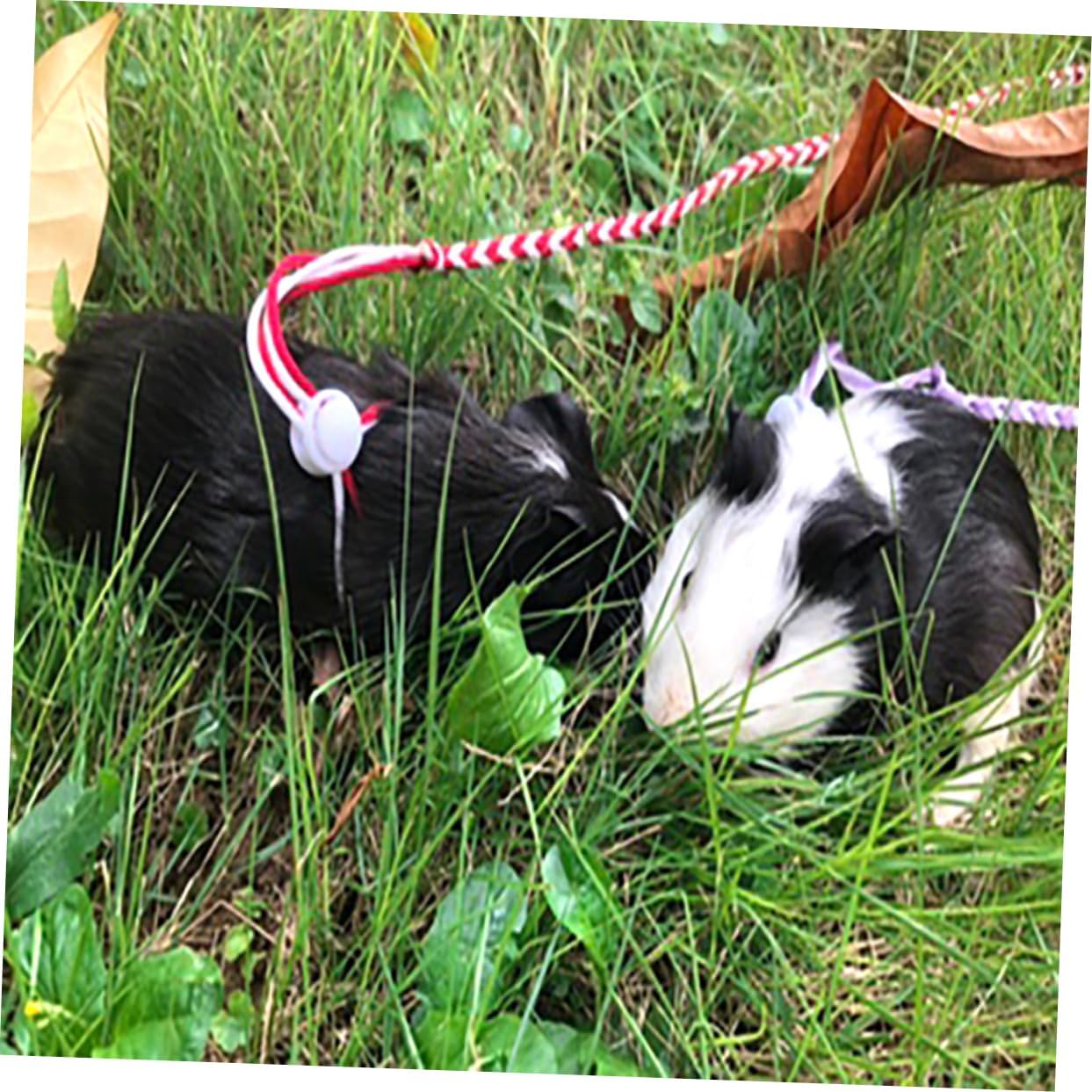 Adjustable Hamster Leash, 2 Meter Polyester Rope for Small Pets | Complete Abdomen and Neck Protection, Two Meter Length, PET Rat Mouse Supplies