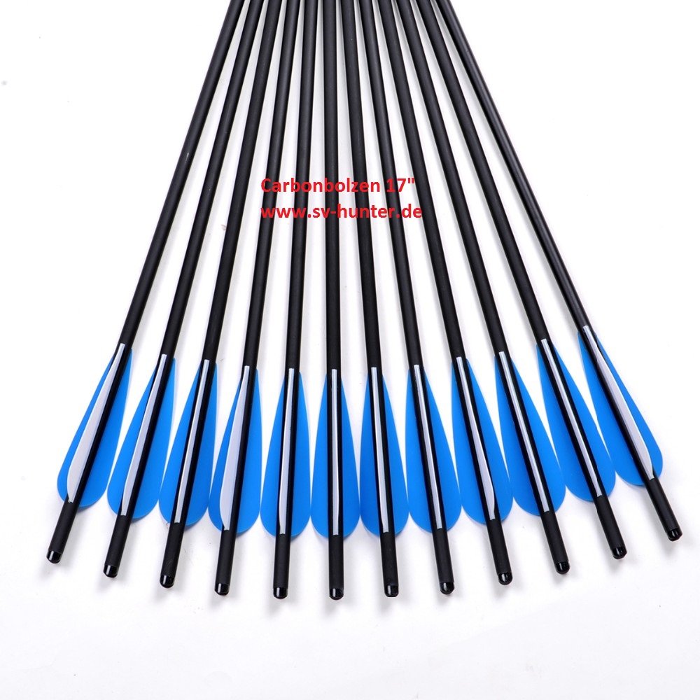 Markenlos 12X Carbonpf Corde 17 Caccia Formazione Bullone Freccia Ricurva/Compound Balestra