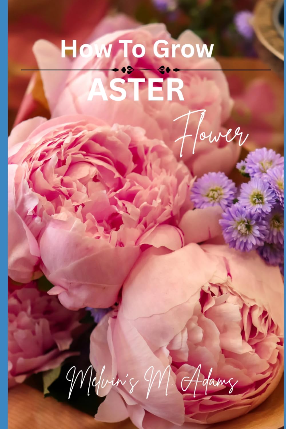 How to grow Aster flowers for beginners: The Ultimate Beginner’s Guide to Growing, Caring for, and Harvesting Asters at Home and garden