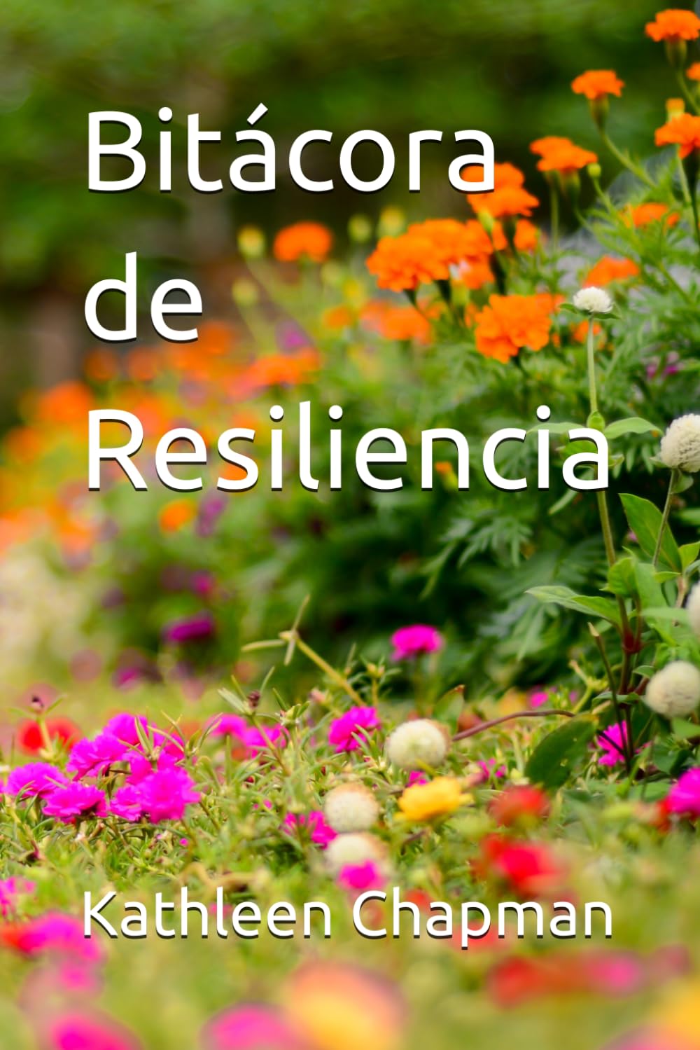 Bitácora de Resiliencia