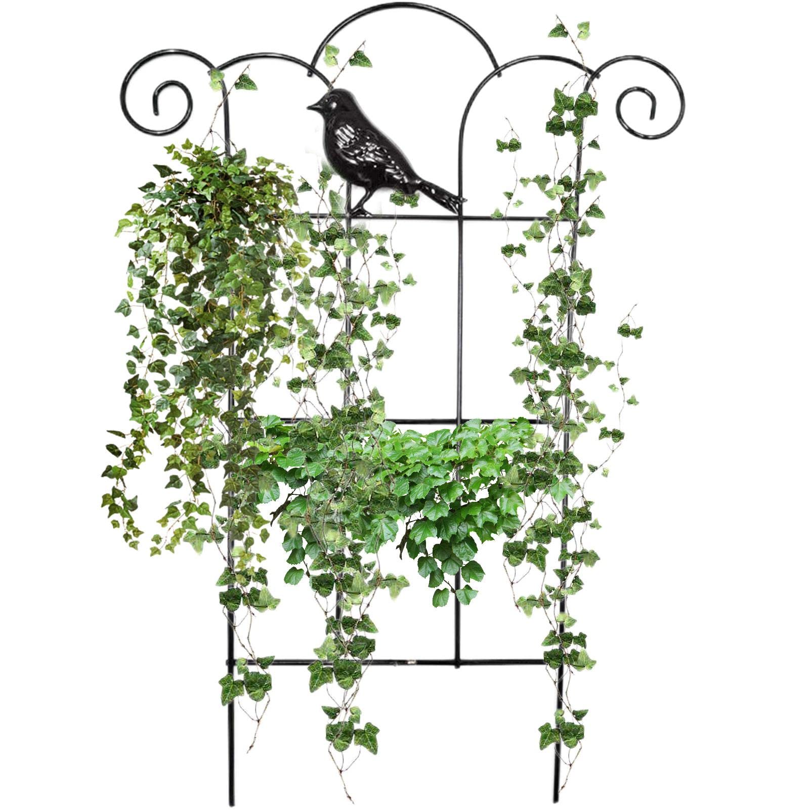 Traliccio Per Piante Rampicanti - 3 Pezzi, In Ferro Antiruggine, Per Vasi E Giardino - Foto 13