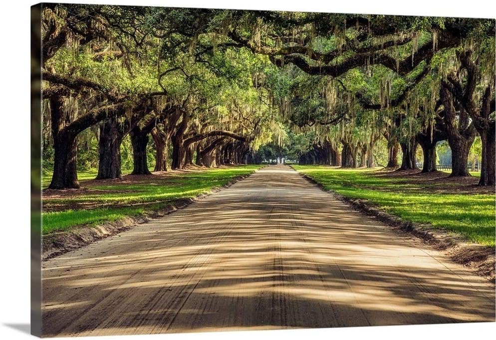 CANVAS ON DEMAND Oak Tree Lined Road At Boone Hall Plantation, Charleston Canvas Wall Art Print by Scott Stulberg, Home Decor, United States Artwork,18" x12in