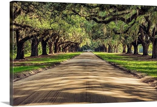 CANVAS ON DEMAND Oak Tree Lined Road At Boone Hall Plantation, Charleston Canvas Wall Art Print by Scott Stulberg, Home Decor, United States Artwork,30" x20in