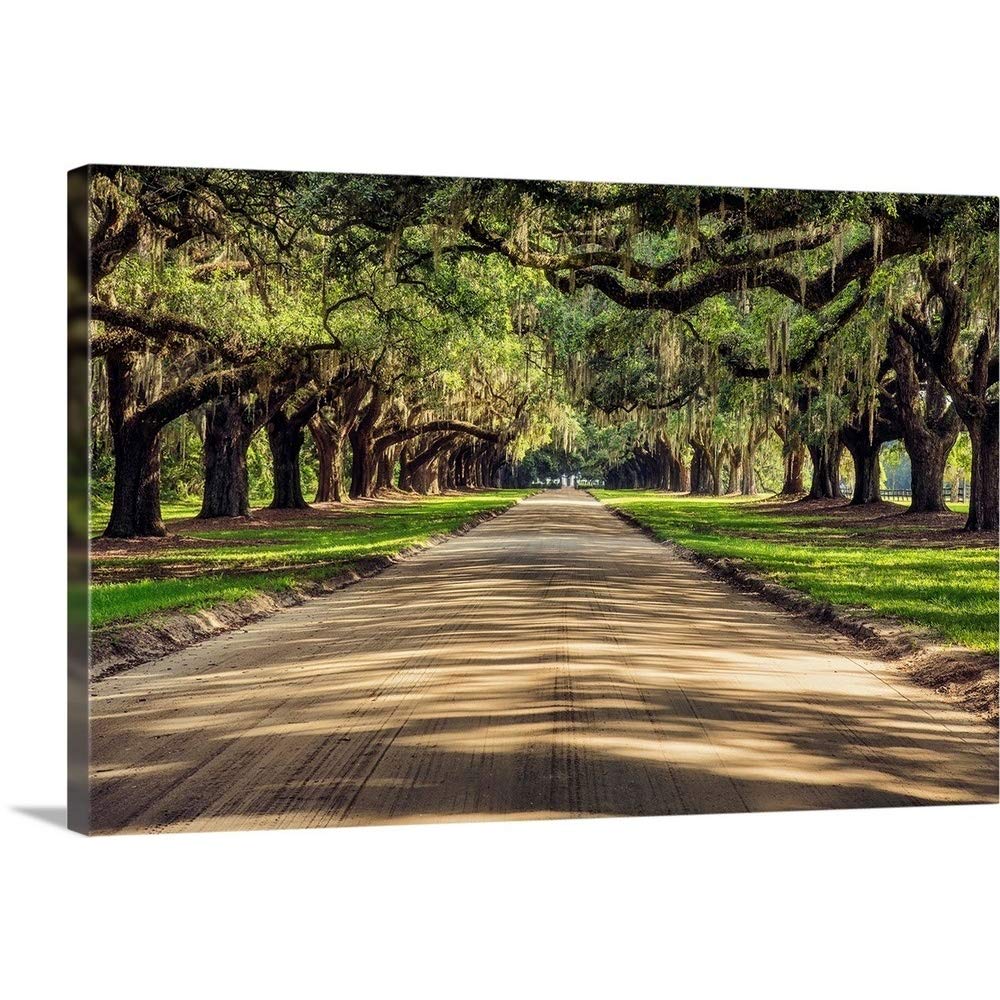 Amazon.com: CANVAS ON DEMAND Oak Tree Lined Road At Boone Hall