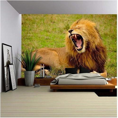 Miniatura 31 de wall26 - Coche rojo vintage en la calle - Mural de pared extraíble | Papel tapiz autoadhesivo grande - 66x96 pulgadas obra de arte 22,obra de arte