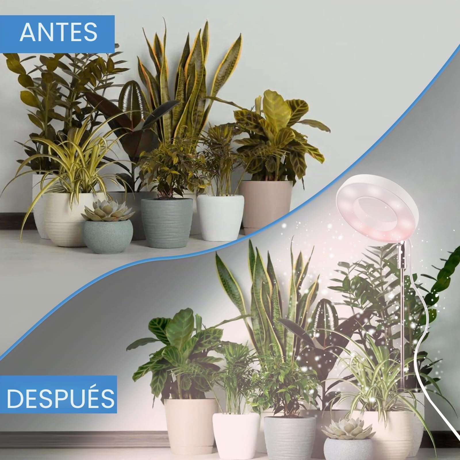 LWMTT Lámpara de Planta,48 LED Luz de Crecimiento de Espectro Completo,Luces de Crecimiento Ajustable en Altura con Temporizador 3/9/12H,9 Brillos,3 Modos,Lampara de Crecimiento para Plantas Pequeñas