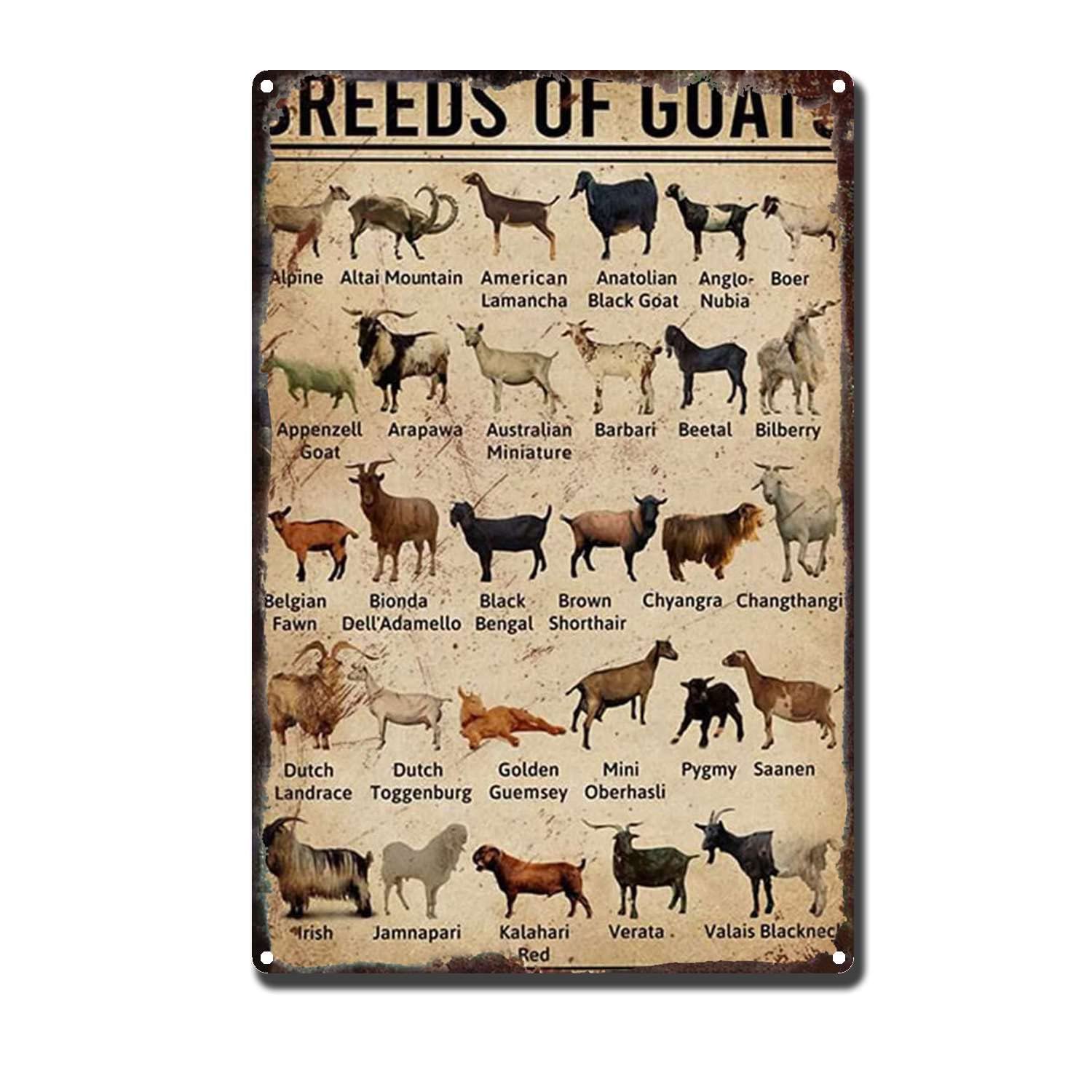 HYCLAM Metal Sign Breeds of Goats Nostalgic Vintage The Garage Indoor Metal Wall Decor The Mural 8x12inch-Tin Sign