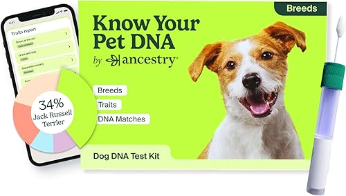Ancestry Dog DNA Test: prueba en casa, identificación de raza y conocimientos de rasgos, análisis de genética canina, regalo único para padres de