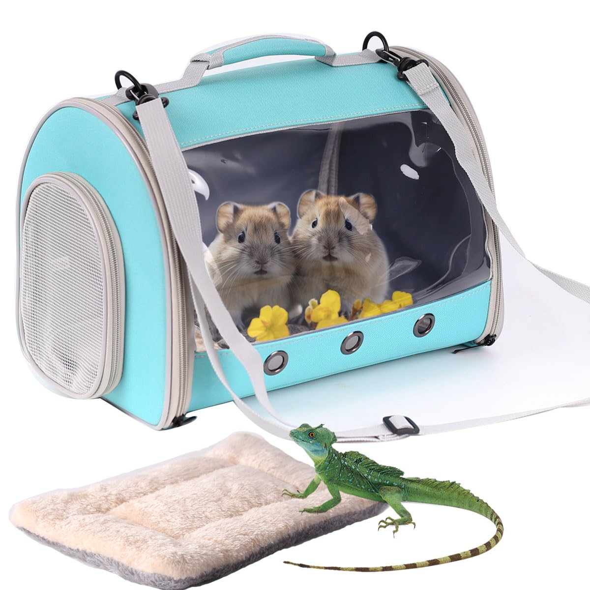 Bearded Dragon Travel Carrier Backpack,Lizard Backpack Carrier,Space Capsule Clear Bubble Window Astronaut Reptile Carrier Backpack for Guinea Pig,Sugar Glider,Bunny (Green, TPU Carrier+MAT)