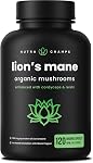 Organic Mushroom Poudre - 10-in-1 Complexe - Mélange de poudre de supplément de champignons pour la mémoire, Focus & Soutien immunitaire - Mélange de champignons pour café, eau, smoothies - 8oz
