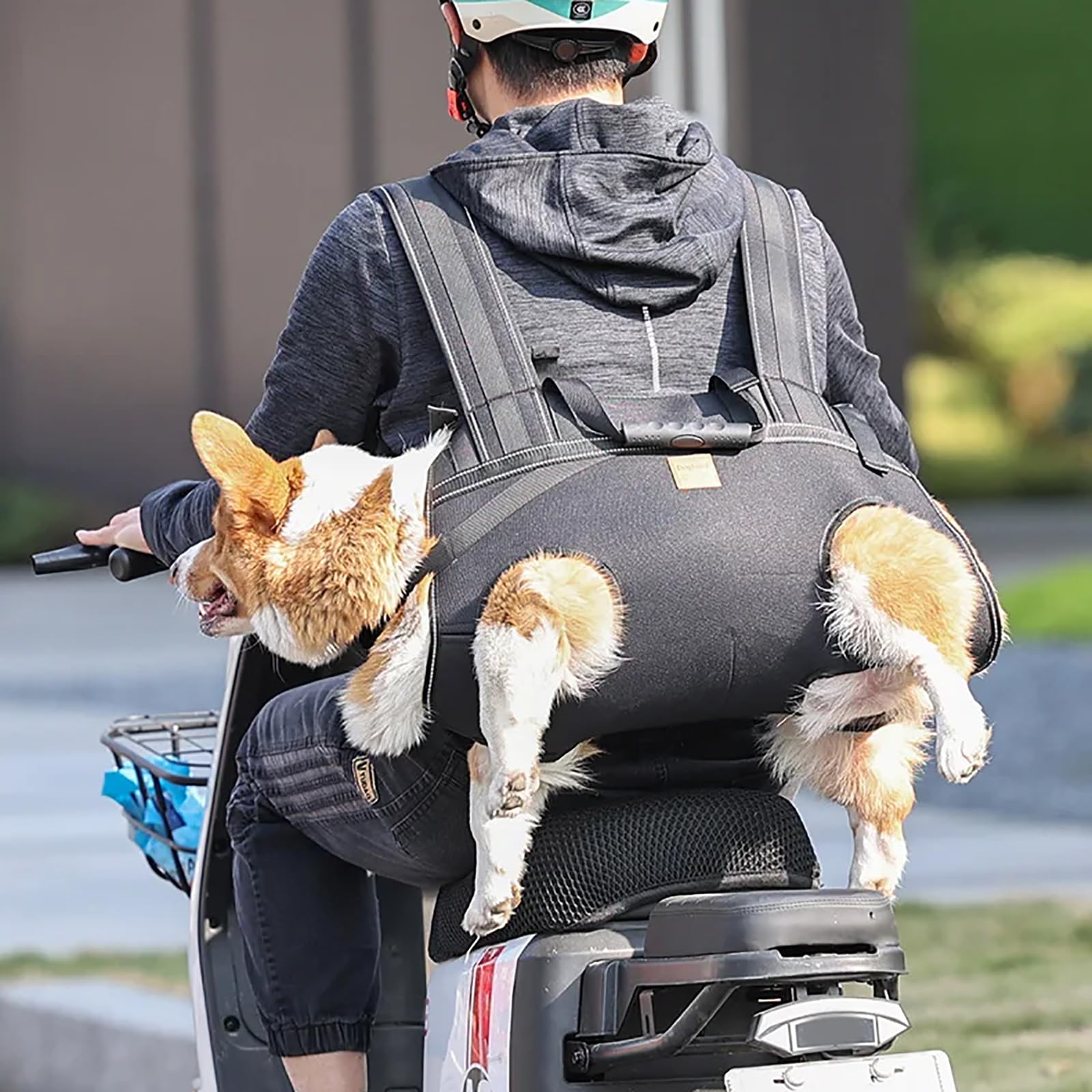 Hunderucksack für große Hunde, Tragehilfe Hund mit Griff, Ergonomisches Tragegeschirr Hund für Treppen, Auto, Gelenkverletzungen, Arthritis, Hundetragetasche für Rehabilitation & Outdoor (XL)