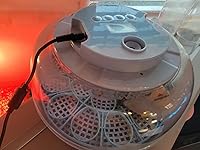 Review Image by Craig Collins Craig Collins