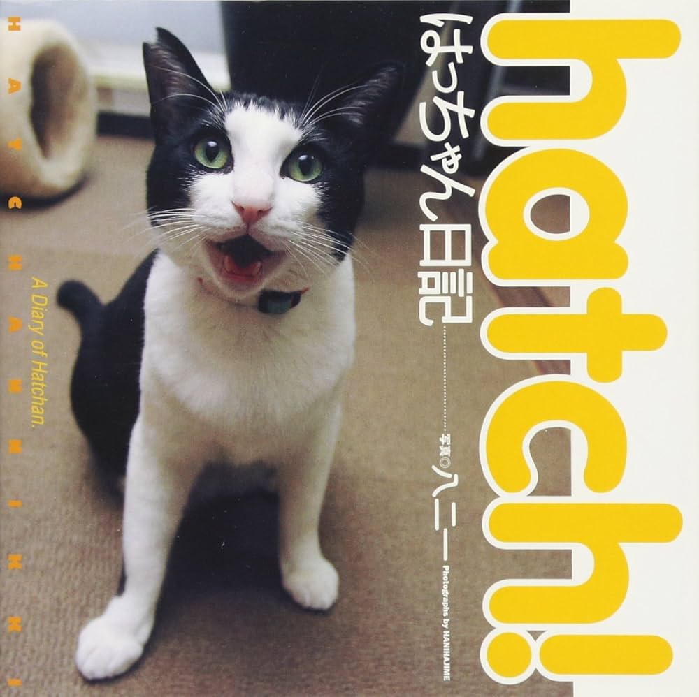 hatch!はっちゃん日記 | 八二 一 |本 | 通販 | Amazon