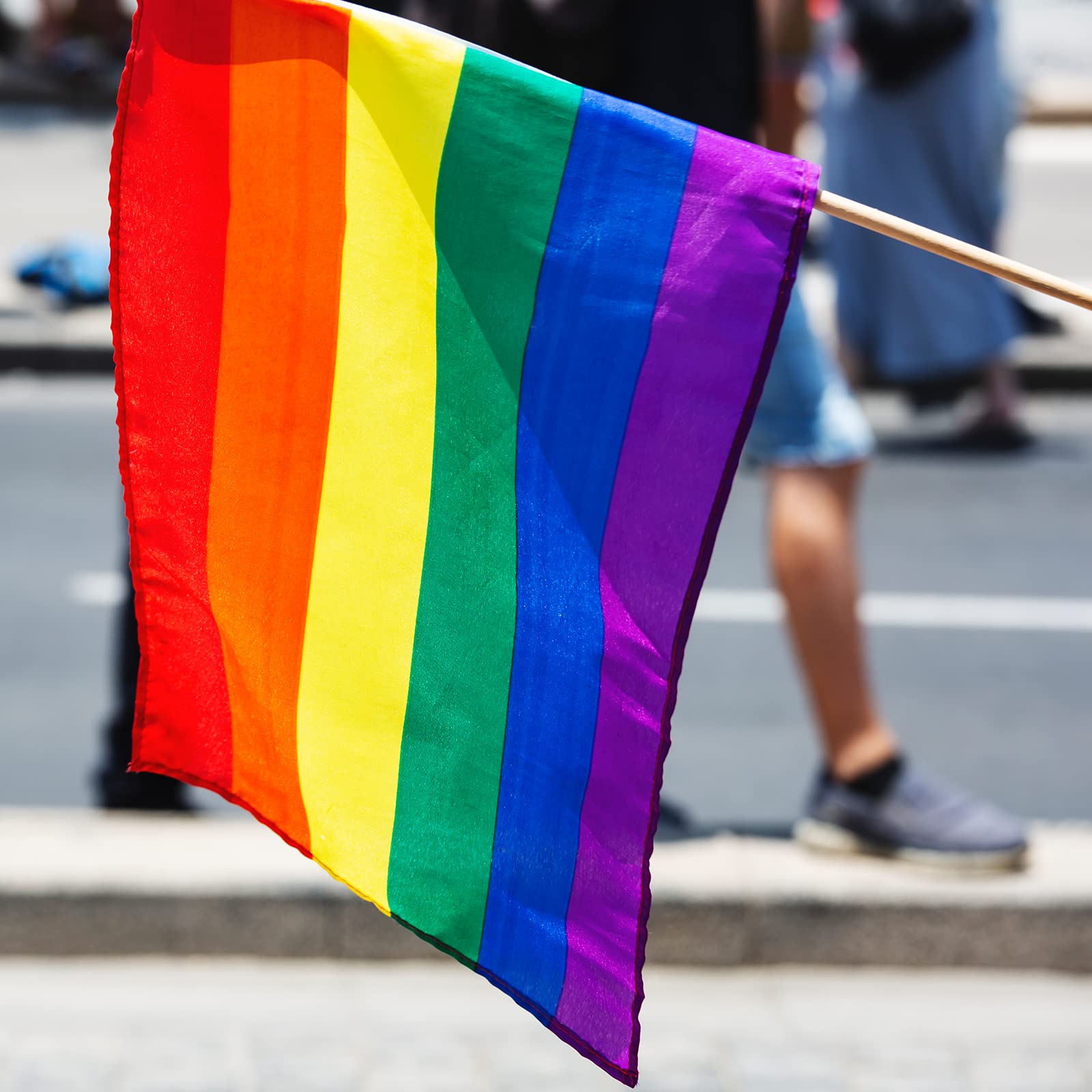 Buy TRIXES Medium Rainbow Flag LGBTQIA2s+ Pride Flags Outdoor and