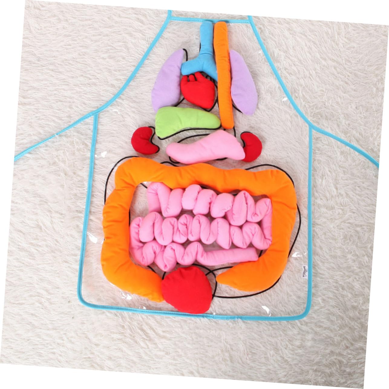 Toyvian Delantal Infantil 3D para Enseñanza de Anatomía Órganos del Cuerpo Humano, Material Didáctico de Plástico y Algodón PP para Educación Preescolar y Jardín de Infancia